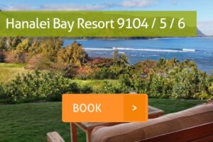 Hanalei Bay Resort Private Rentals 9104-5-6